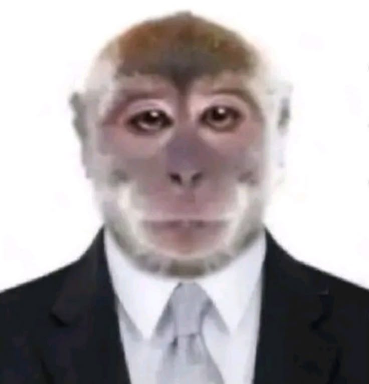 Foto de CV
